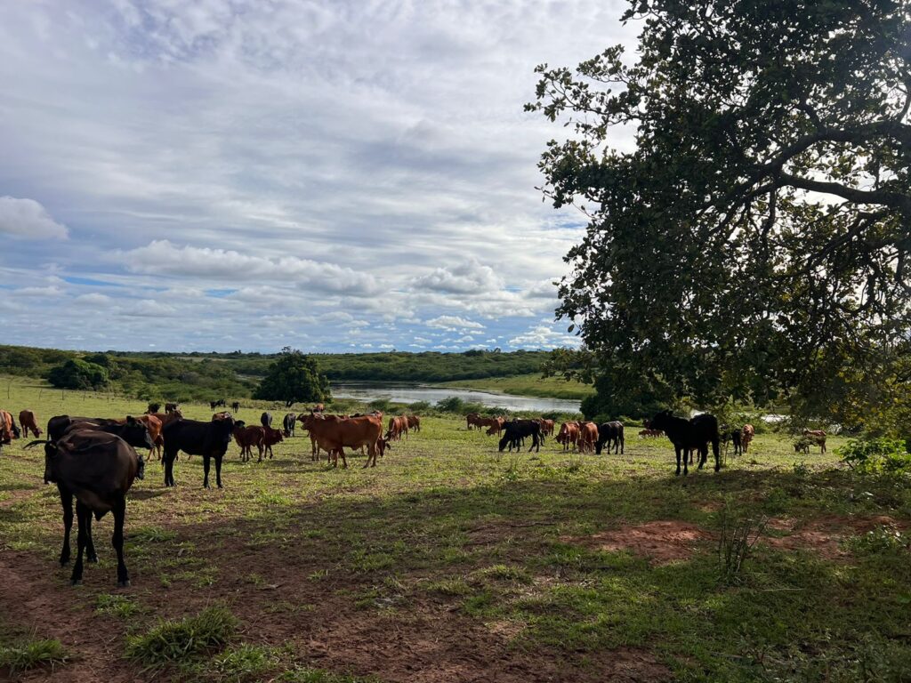 Sobre a Nossa Fazenda